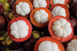 Măng cụt được mệnh danh là “nữ hoàng trái cây.” (Nguồn: Vietnam+)
