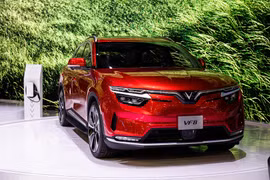 (Nguồn: Vietnam+) 