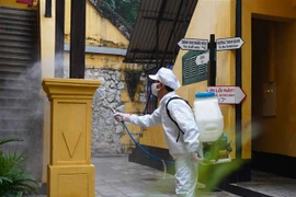 Phun khử khuẩn phòng chống COVID-19. (Nguồn: TTXVN phát) 