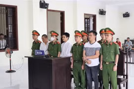Các bị cáo tại phiên tòa. (Ảnh: TTXVN phát)