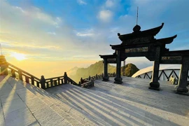 Sương muối phủ trắng đỉnh Fansipan (Lào Cai). (Ảnh: TTXVN phát) 