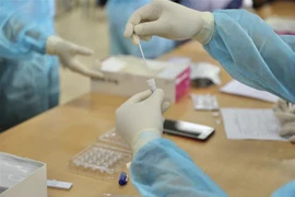 Lấy mẫu xét nghiệm COVID-19. (Ảnh: Minh Quyết/TTXVN)