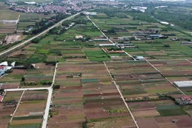 (Ảnh minh họa: Vũ Sinh/TTXVN) 