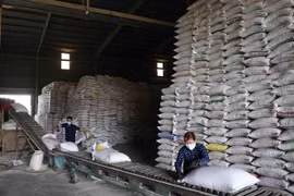 Dây chuyền chế biến, đóng gói gạo thành phẩm tại nhà máy chế biến lương thực Long An (thuộc Vinafood 2). (Ảnh: Phạm Hậu/TTXVN) 