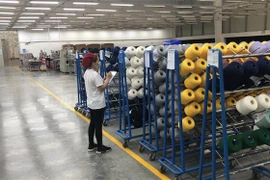 Ảnh minh họa. (Nguồn: TTXVN) 