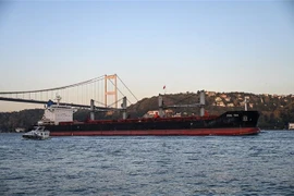 Tàu chở ngũ cốc di chuyển dọc Eo biển Bosphorus, ở Istanbul, Thổ Nhĩ Kỳ, ngày 2/11/2022. (Ảnh: AFP/TTXVN)