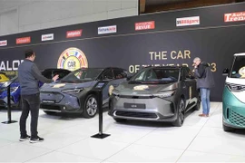 Một gian hàng tại triển lãm. (Ảnh: Hương Giang/TTXVN)