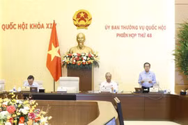 Phó Chủ tịch Quốc hội Đỗ Bá Tỵ điều hành phiên họp. (Ảnh: Doãn Tấn/TTXVN) 