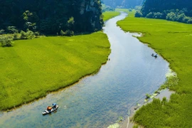 Mê mẩn vẻ đẹp của Tam Cốc trong mùa lúa xanh ngút ngàn