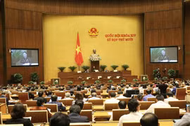 Quốc hội họp phiên toàn thể tại hội trường vào sáng 2/11. (Ảnh: Doãn Tấn/TTXVN) 