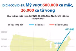 [Infographics] Mỹ vượt 600.000 ca mắc, 26.000 ca tử vong vì COVID-19