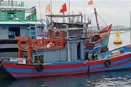 Tàu khai thác hải sản xa bờ cập cảng cá Tam Quang, huyện Núi Thành, Quảng Nam. (Ảnh: Đoàn Hữu Trung/TTXVN)