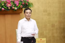 Phó Thủ tướng Chính phủ Trần Lưu Quang làm Trưởng ban Ban Chỉ đạo xây dựng và quản lý vị trí việc làm trong các cơ quan, tổ chức hành chính, đơn vị sự nghiệp công lập. (Ảnh: An Đăng/TTXVN)