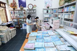 (Ảnh minh họa: Anh Tuấn/TTXVN) 