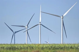 Các tháp điện gió. (Nguồn: AFP/TTXVN) 