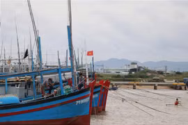 Ngư dân thả neo, gia cố tàu thuyền phòng chống bão số 9. (Ảnh: Phạm Cường/TTXVN) 