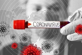 Bảng cảnh báo về virus corona. (Nguồn: IRNA/TTXVN) 