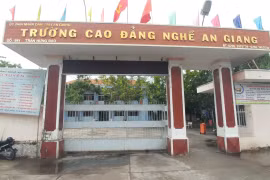 Đến ngày 3/8, tỉnh An Giang đã thu hoạch được 120.319 ha/228.479ha, đạt 52,7% diện tích xuống giống. (Ảnh: Công Mạo/TTXVN) 