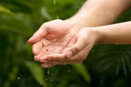 Ảnh minh họa. (Nguồn: Shutterstock) 