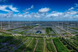 Điện gió hòa Bình 5 tại huyện Hòa Bình, tỉnh Bạc Liêu. (Ảnh: Nhật Bình/TTXVN) 