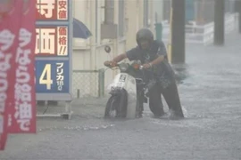 Ảnh minh họa. (Nguồn: Kyodo/TTXVN) 