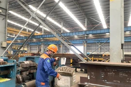 Hoạt động sản xuất tại một nhà máy ở tỉnh Bà Rịa-Vũng Tàu. (Ảnh: Hoàng Nhị/TTXVN) 