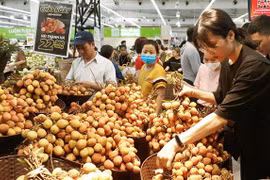 Tuần hàng nông sản trái cây các vùng miền được tổ chức tại quận Hà Đông. (Ảnh: Đỗ Phương Anh/TTXVN) 