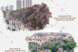 Những địa điểm không thể bỏ qua ở Hà Nội mỗi mùa hoa bằng lăng đến