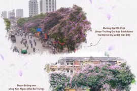 Những địa điểm không thể bỏ qua ở Hà Nội mỗi mùa hoa bằng lăng đến
