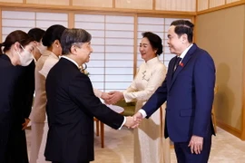 Chủ tịch Quốc hội Trần Thanh Mẫn và Phu nhân hội kiến Nhà vua Naruhito cùng Hoàng hậu Masako. (Ảnh: Doãn Tấn/TTXVN)