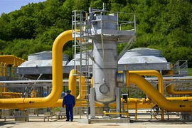 Ảnh minh họa. (Nguồn: AFP/TTXVN) 