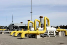 Đường ống dẫn khí đốt liên kết Ba Lan-Litva (GIPL) tại Jauniunai (Litva) ngày 5/5/2022. (Ảnh: AFP/TTXVN) 