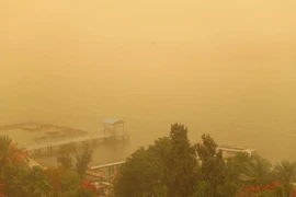 Bão cát hoành hành tại thủ đô Cairo, Ai Cập ngày 1/6/2023. (Ảnh: THX/TTXVN)