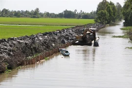 (Ảnh minh họa: Duy Khương/TTXVN) 