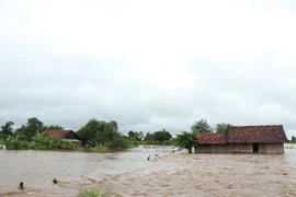 Nhiều ngôi nhà của người dân xã Cư Kbang, huyện Ea Súp bị ngập sâu trong nước lũ. (Ảnh: Tuấn Anh/TTXVN)