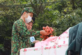 Các lực lượng chức năng tại cửa khẩu Tân Thanh kiểm tra mặt hàng vải quả tươi trước khi xuất khẩu. (Ảnh: Quang Duy/TTXVN)