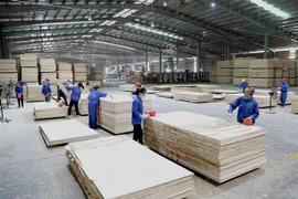 Chế biến gỗ xuất khẩu. (Nguồn: TTXVN) 