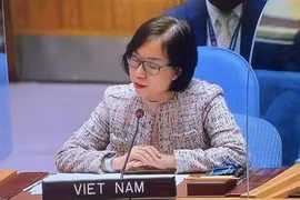 Đại sứ Nguyễn Phương Trà, Phó Trưởng Phái đoàn Thường trực Việt Nam tại Liên hợp quốc. (Ảnh: TTXVN) 