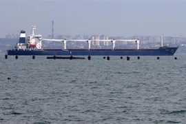 Tàu M/V Razoni chở 26.000 tấn ngũ cốc rời cảng Odessa của Ukraine để tới Tripoli (Liban) ngày 1/8/2022. (Ảnh: AFP/TTXVN) 