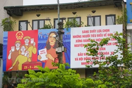 (Ảnh minh họa: Minh Sơn/Vietnam+) 