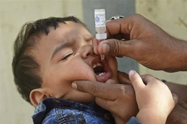 Nhân viên y tế nhỏ vaccine ngừa bệnh bại liệt cho trẻ em tại Karachi, Pakistan. (Ảnh: AFP/TTXVN)