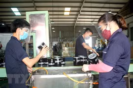 Công nhân làm việc tại một khu công nghiệp ở Đà Nẵng. (Ảnh: Quốc Dũng/TTXVN) 