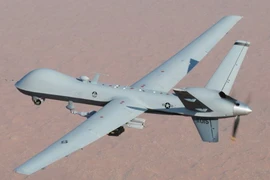 Thiết bị bay không người lái (UAV) không xác định vẫn được phát hiện trên các căn cứ của lực lượng này ở Anh vào ngày 27/11. (Nguồn: Daily Excelsior)