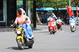 (Ảnh minh họa: Thành Đạt/TTXVN) 