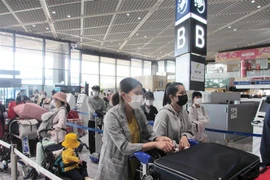 Công dân Việt Nam xếp hàng chờ làm thủ tục ở sân bay Narita hồi tháng Năm. (Ảnh: Đào Thanh Tùng/TTXVN) 