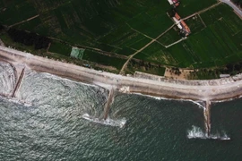 Nam Định chủ động gia cố các tuyến đê xung yếu trước mùa mưa bão