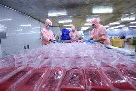 Trong 2 tháng đầu năm nay, xuất khẩu cá ngừ sang Israel đạt 6,244 triệu USD. (Ảnh: Vũ Sinh/TTXVN) 