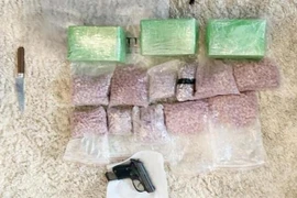 Ảnh minh họa. (Nguồn: TTXVN) 