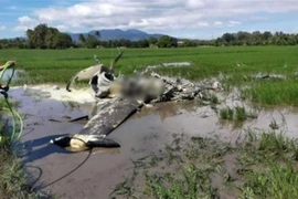 Hiện trường vụ rơi máy bay SF260 của Lực lượng không quân Philippines ở tỉnh Bataan ngày 25/1/2023. (Ảnh: Pilar Municipal Police Station/TTXVN)