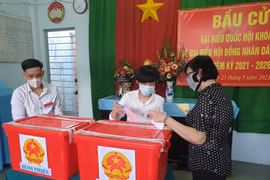 Các cử tri tại điểm phiếu số 10, khu phố chợ phường Lái Thiêu, thành phố Thuận An (Bình Dương) đi bầu cử. (Ảnh: Huyền Trang/TTXVN) 